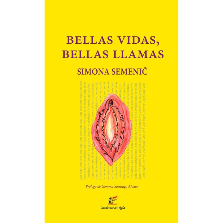 BELLAS VIDAS BELLAS LLAMAS