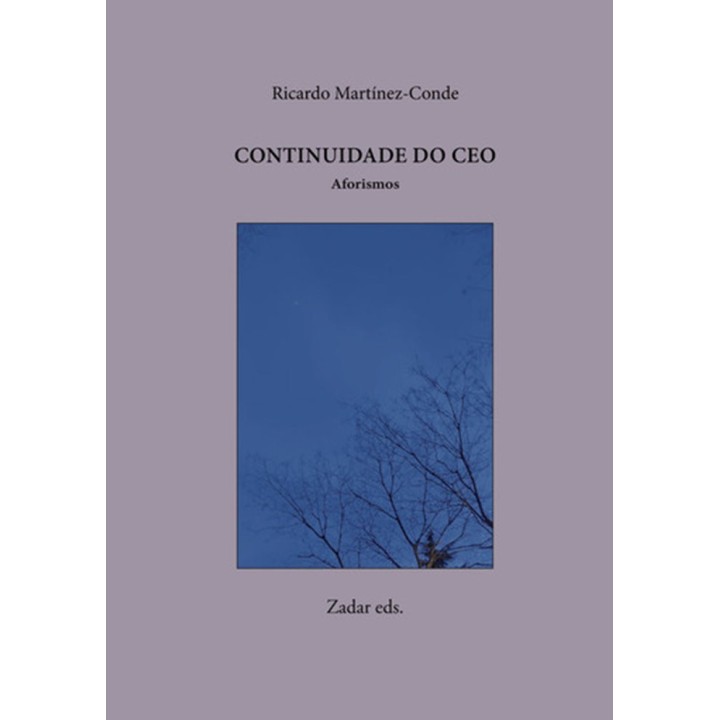 CONTINUIDADE DO CEO