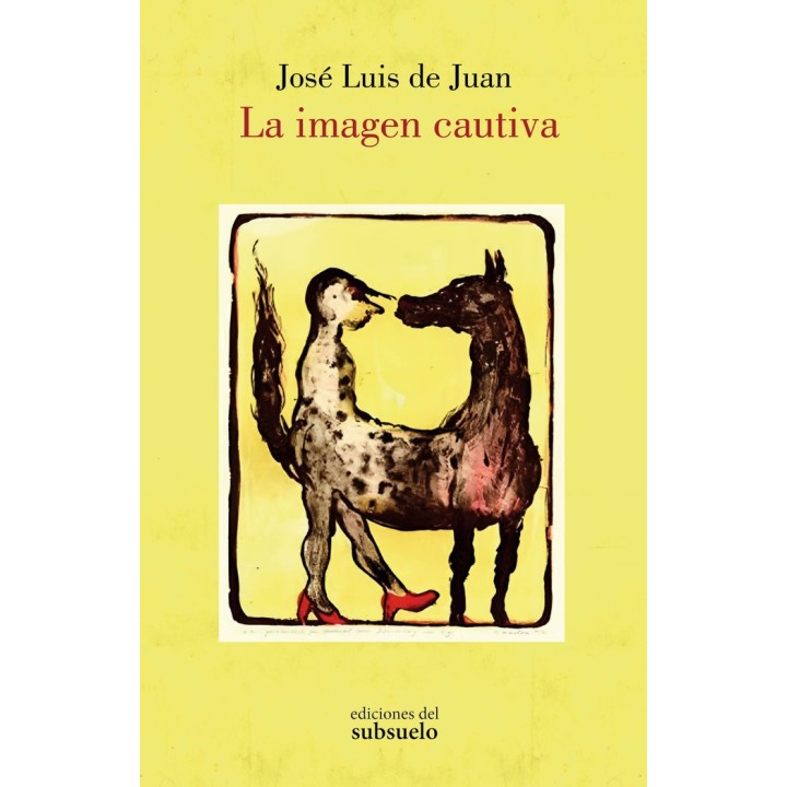 LA IMAGEN CAUTIVA
