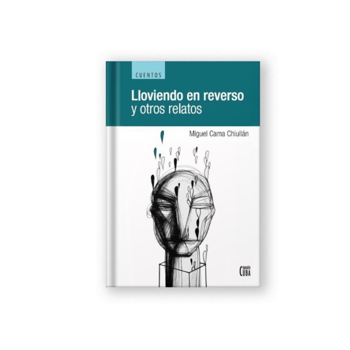LLOVIENDO EN REVERSO