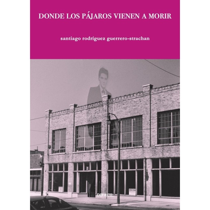 DONDE LOS PAJAROS VIENEN A MORIR