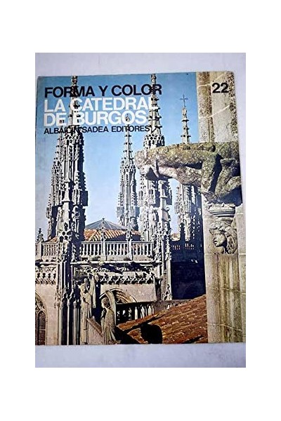 FORMA Y COLOR 22. LA CATEDRAL DE BURGOS.