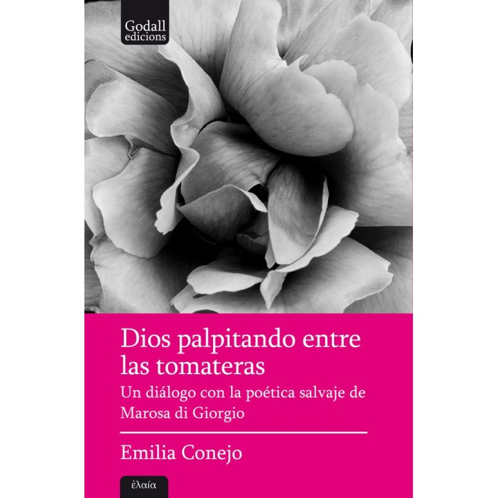 DIOS PALPITANDO ENTRE LAS TOMATERAS