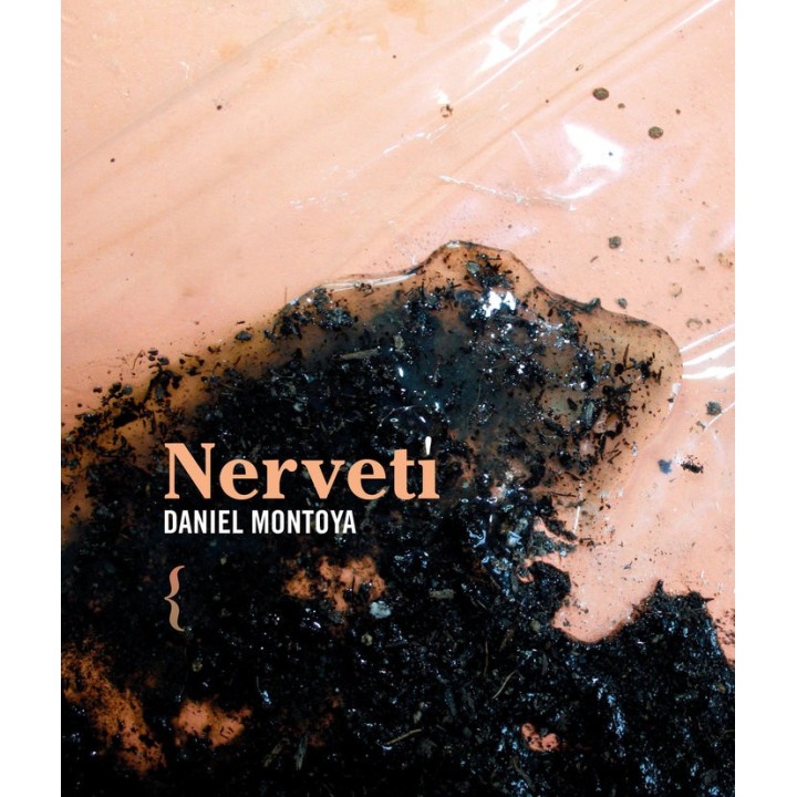 NERVETI