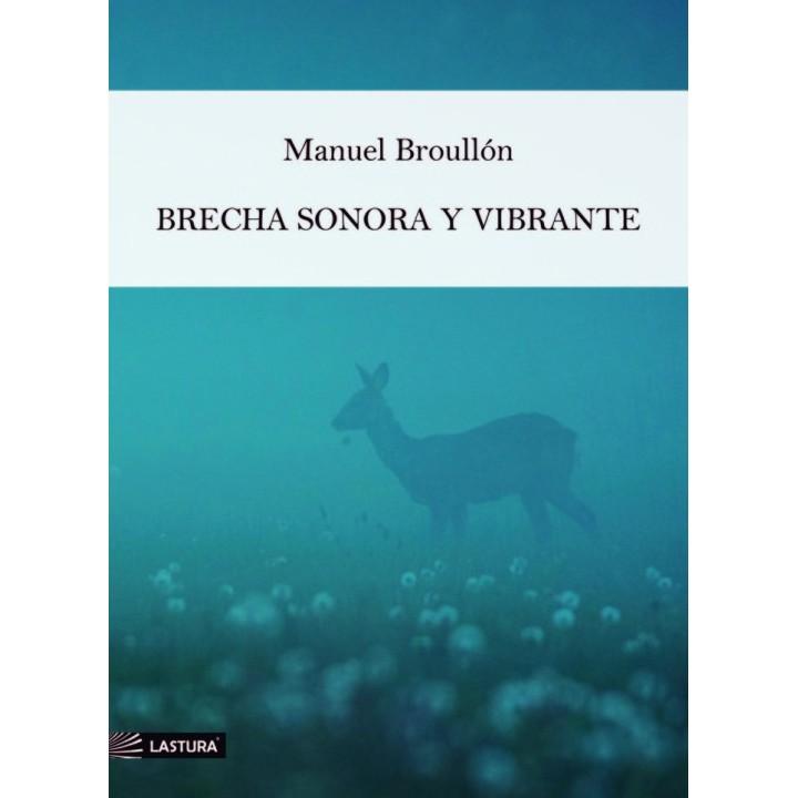 BRECHA SONORA Y VIBRANTE