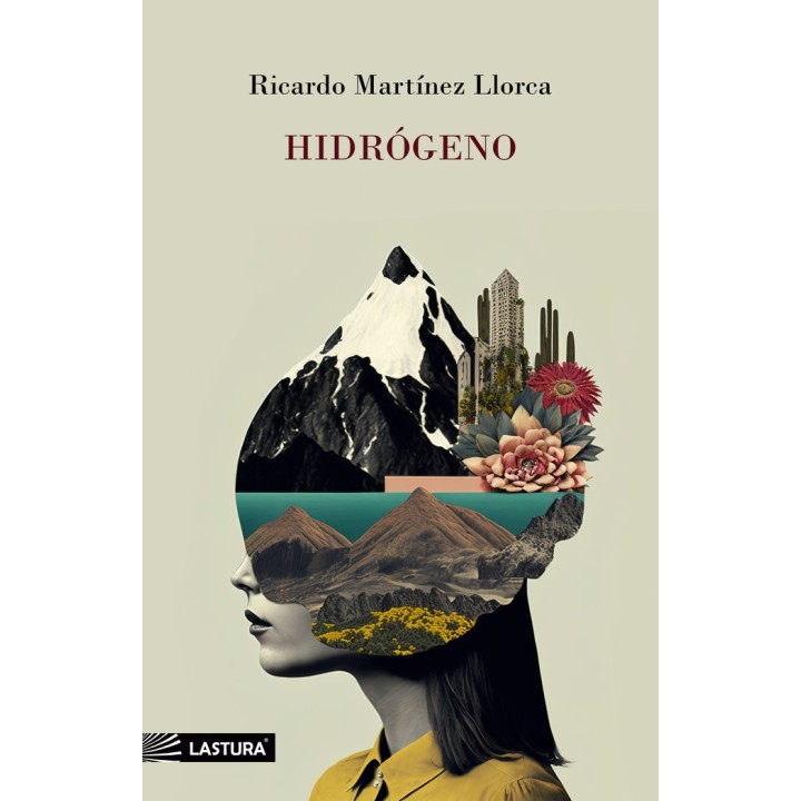 HIDROGENO