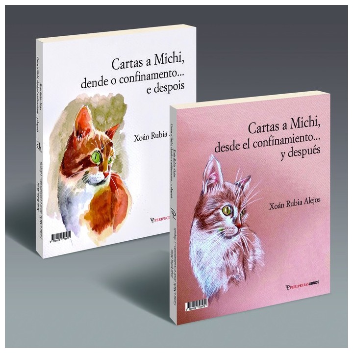 CARTAS A MICHI DESDE EL CONFINAMIENTO Y DESPUES