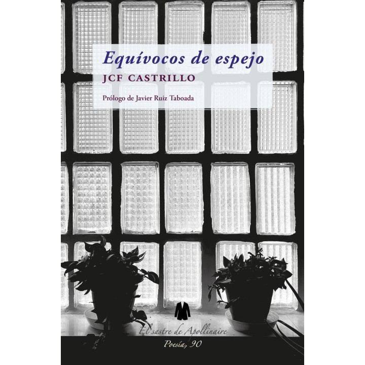 EQUIVOCOS DE ESPEJO