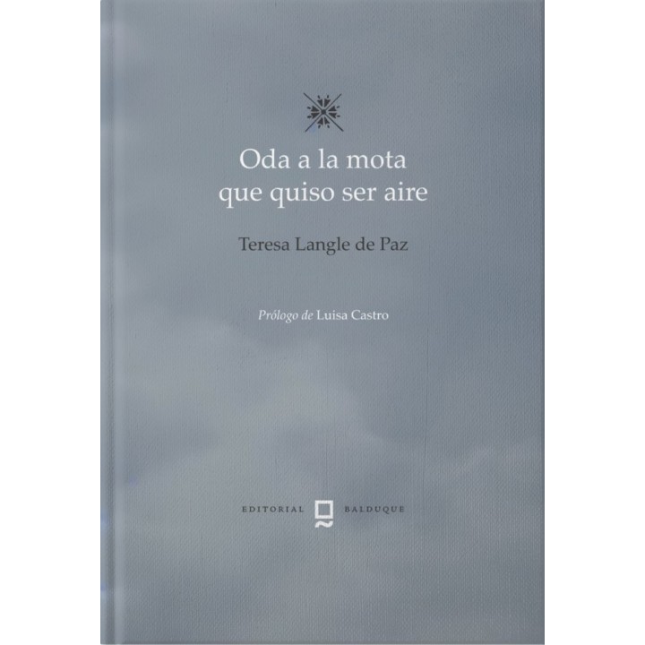 ODA A LA MOTA QUE QUISO SER AIRE