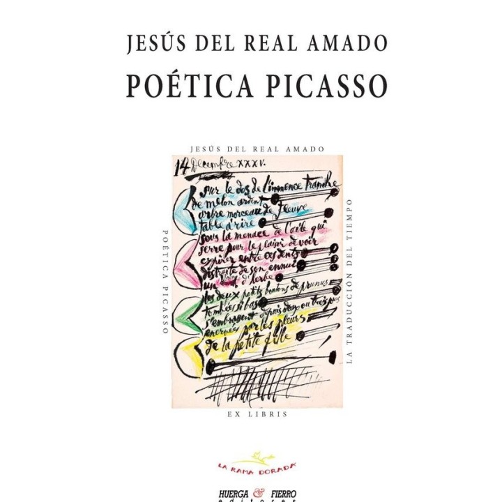 POETICA PICASSO
