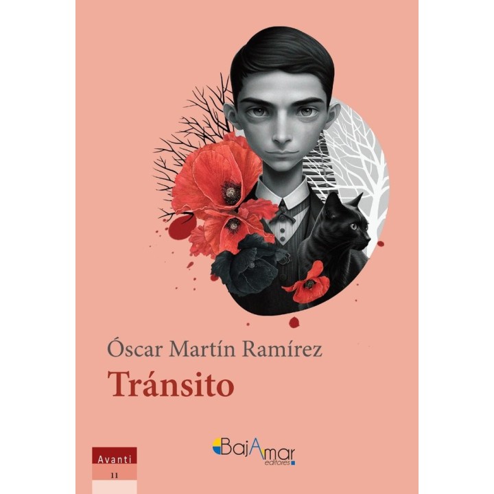 TRANSITO