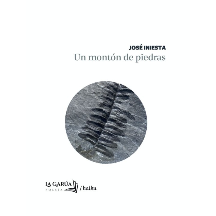 UN MONTON DE PIEDRAS