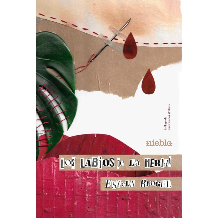 LOS LABIOS DE LA HERIDA