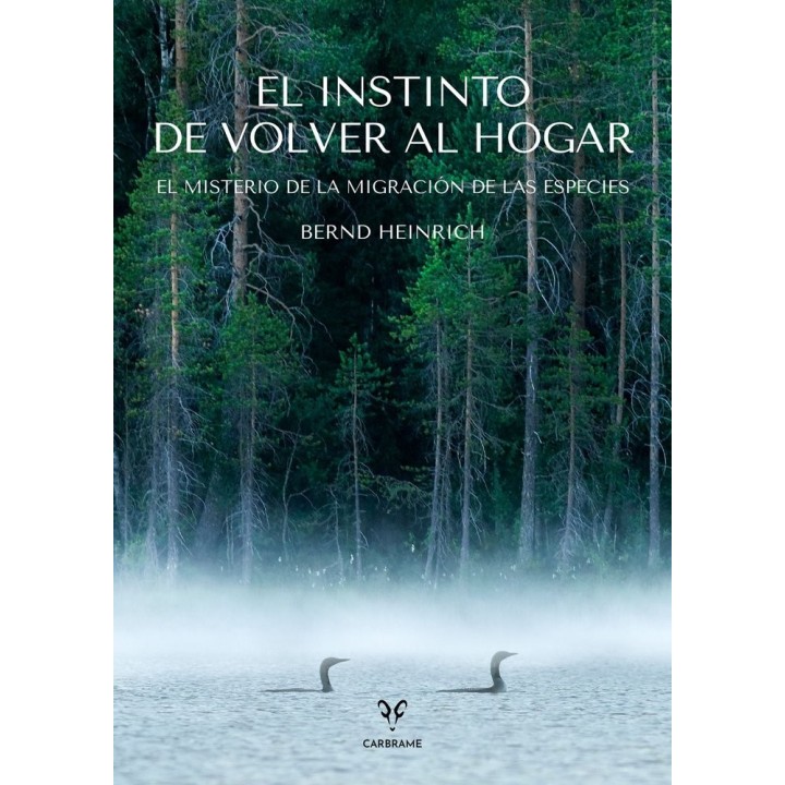 EL INSTINTO DE VOLVER AL HOGAR