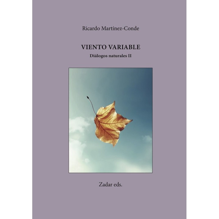 VIENTO VARIABLE