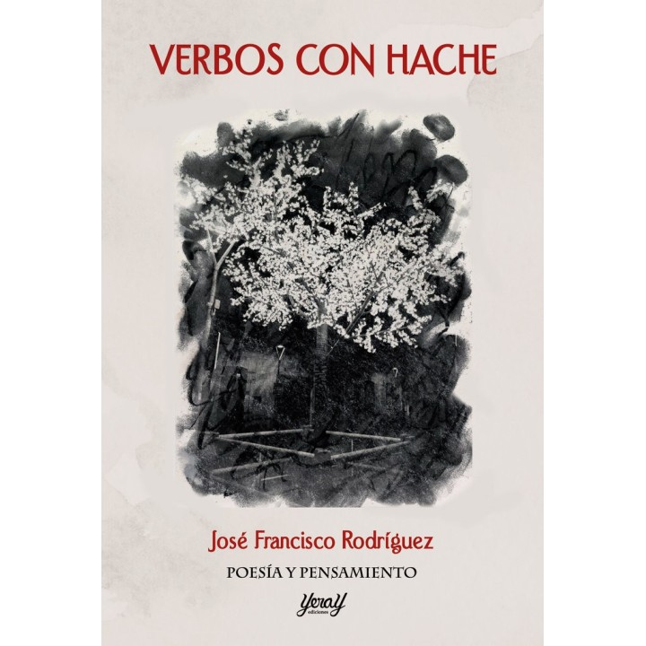 VERBOS CON H