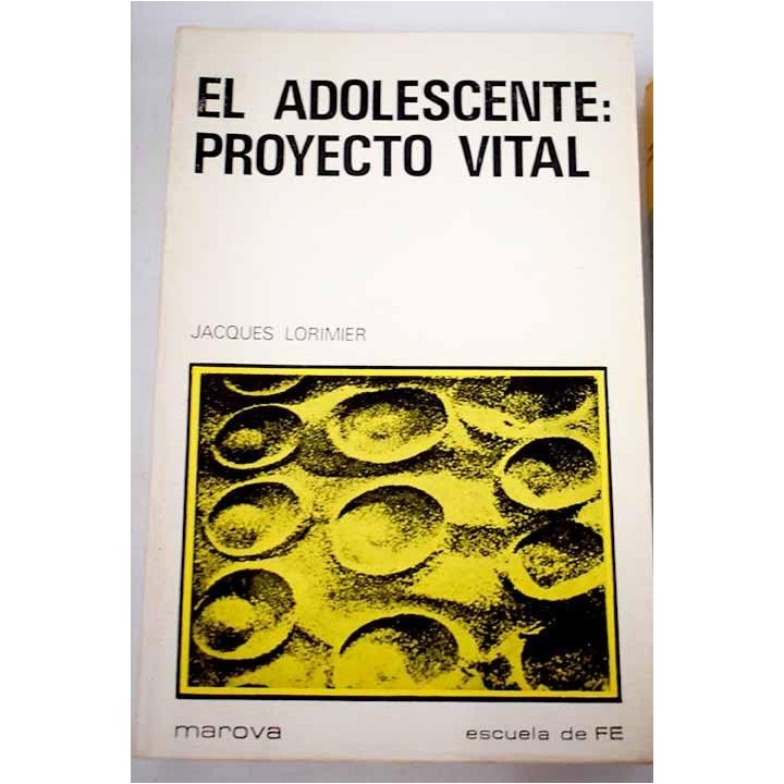 El adolescente PROYECTO VITAL