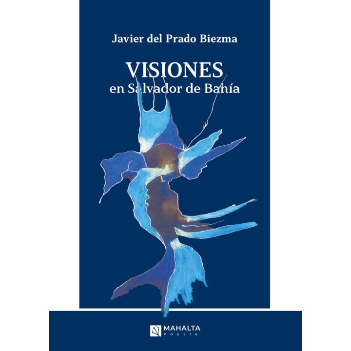 VISIONES EN SALVADOR DE BAHIA