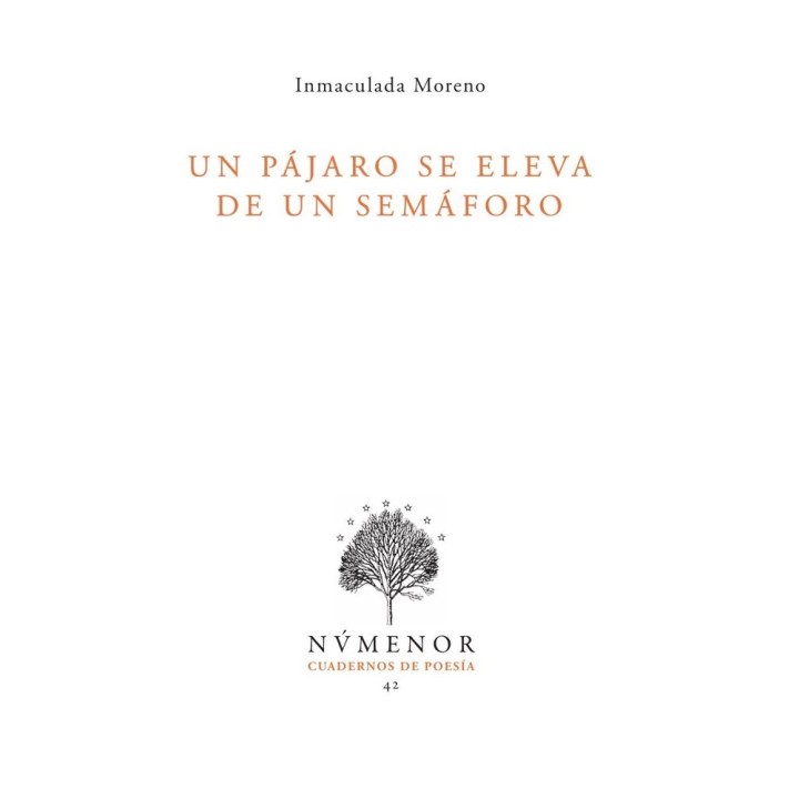 UN PAJARO SE ELEVA DE UN SEMAFORO