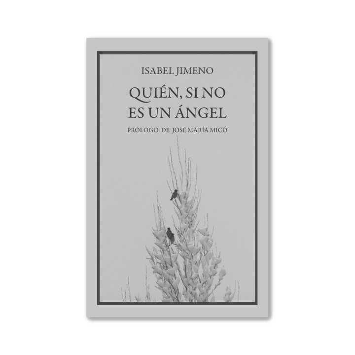 QUIEN SI NO ES UN ANGEL