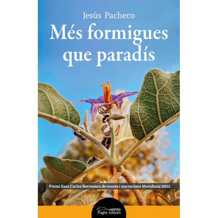 MES FORMIGUES QUE PARADIS