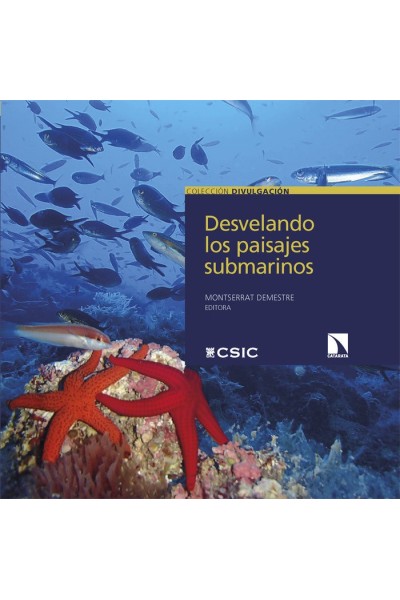 DESVELANDO LOS PAISAJES SUBMARINOS