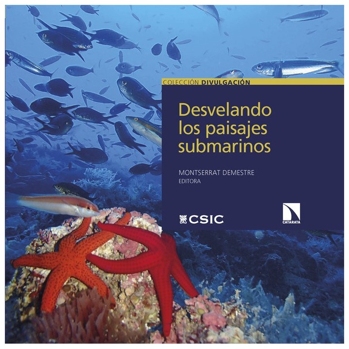 DESVELANDO LOS PAISAJES SUBMARINOS