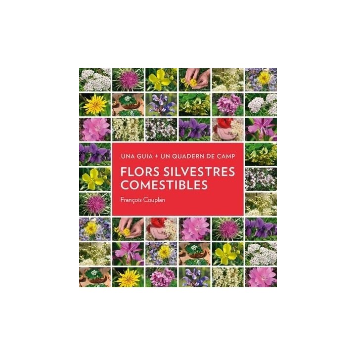 FLORS SILVESTRES COMESTIBLES