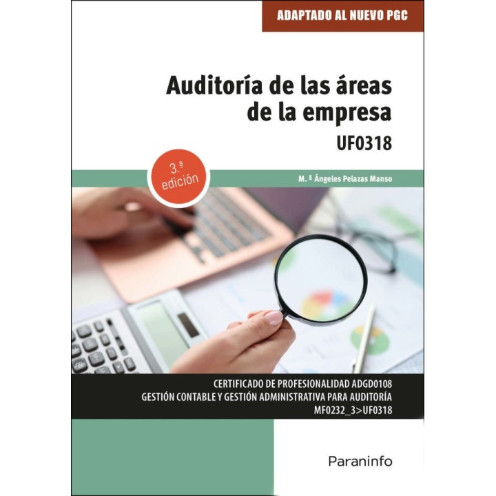AUDITORIA DE LAS AREAS DE EMPRESA