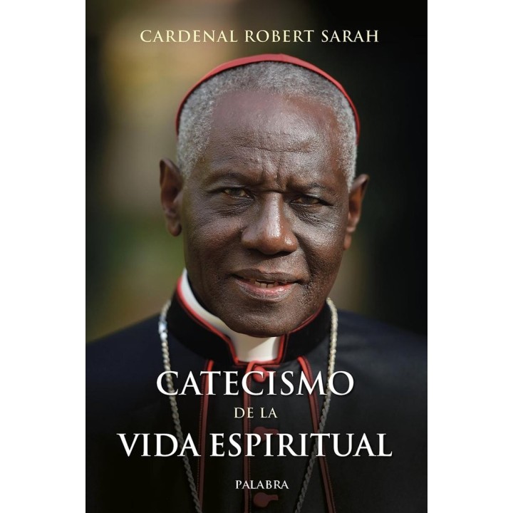 CATECISMO DE LA VIDA ESPIRITUAL
