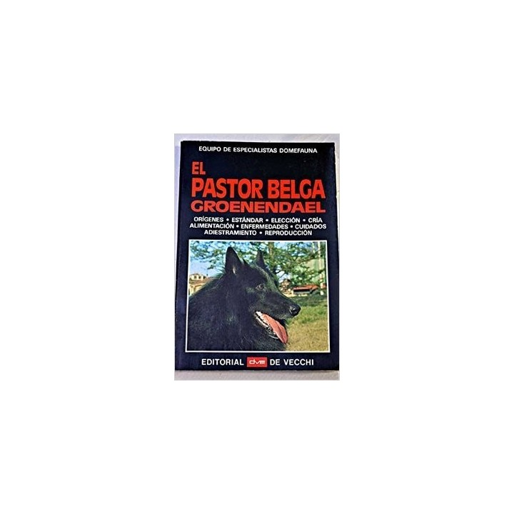 El Pastor Belga Groenendael