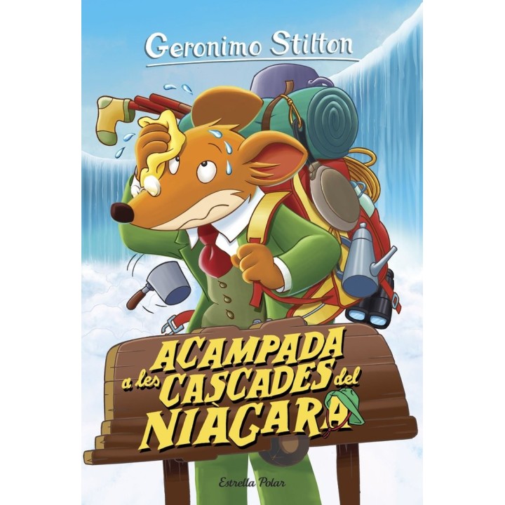 ACAMPADA A LES CASCADES DEL NIAGARA