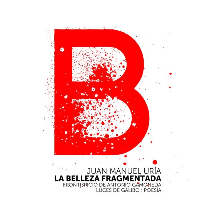 BELLEZA FRAGMENTADA,LA