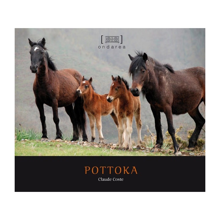 POTTOKA