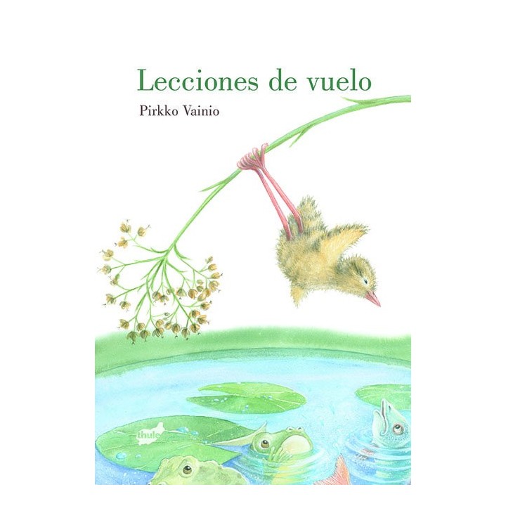 LECCIONES DE VUELO