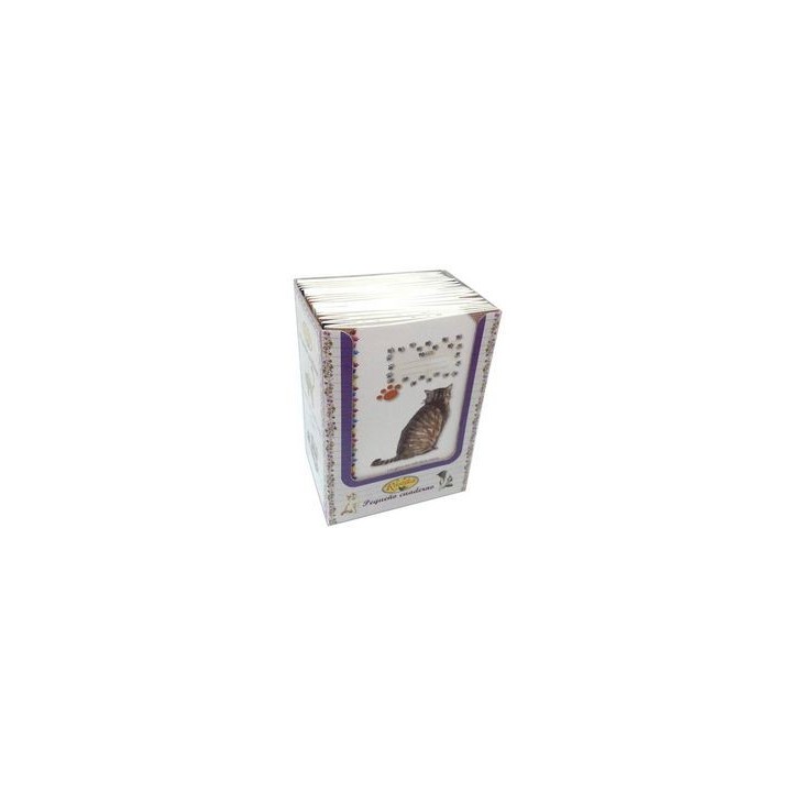 PEQUEÑO CUADERNO DE PENSAMIENTOS 2 TITULOS