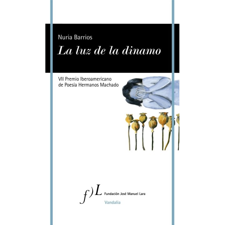 LUZ DE LA DINAMO