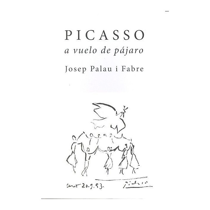 PICASSO A VUELO DE PAJARO