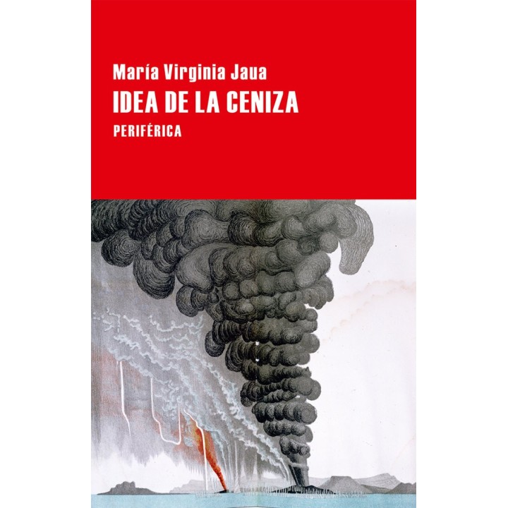 IDEA DE LA CENIZA