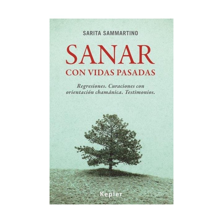 SANAR CON VIDAS PASADAS