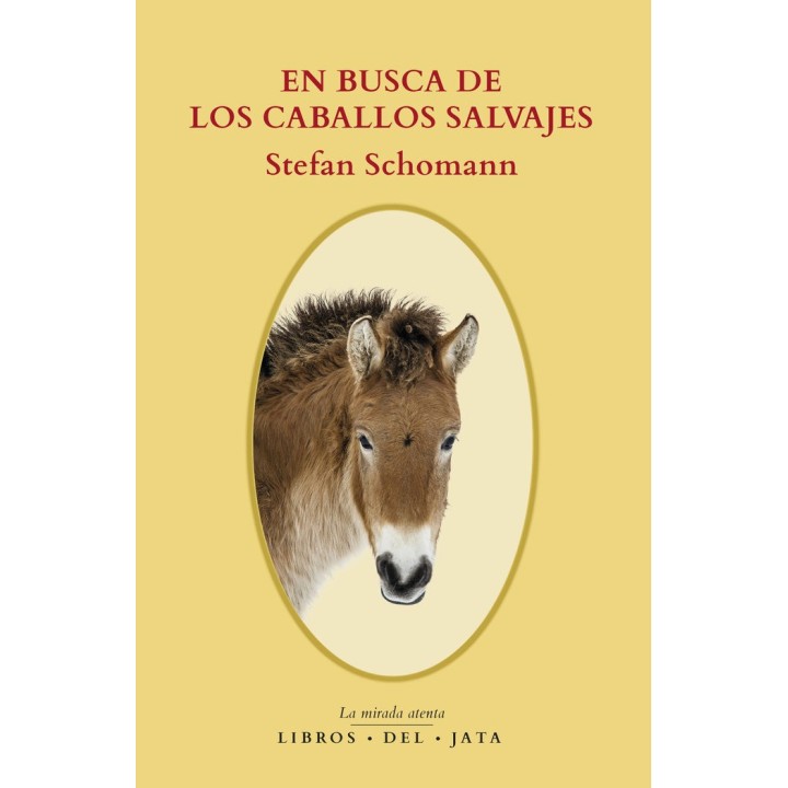 EN BUSCA DE LOS CABALLOS SALVAJES