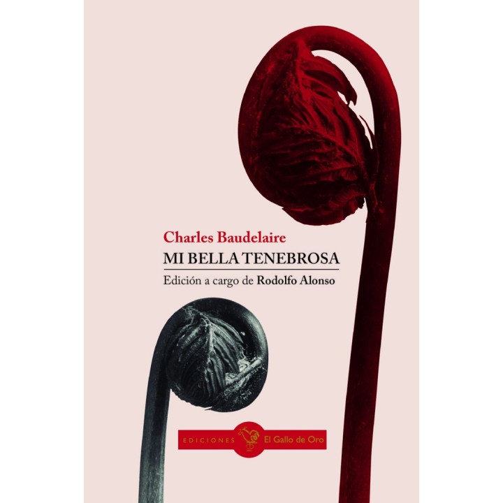 MI BELLA TENEBROSA