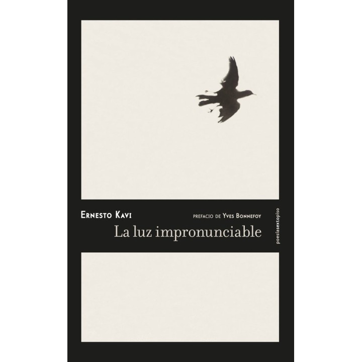 LUZ IMPRONUNCIABLE,LA