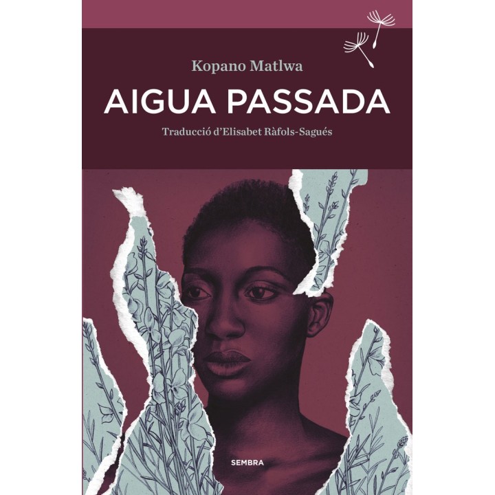 AIGUA PASSADA
