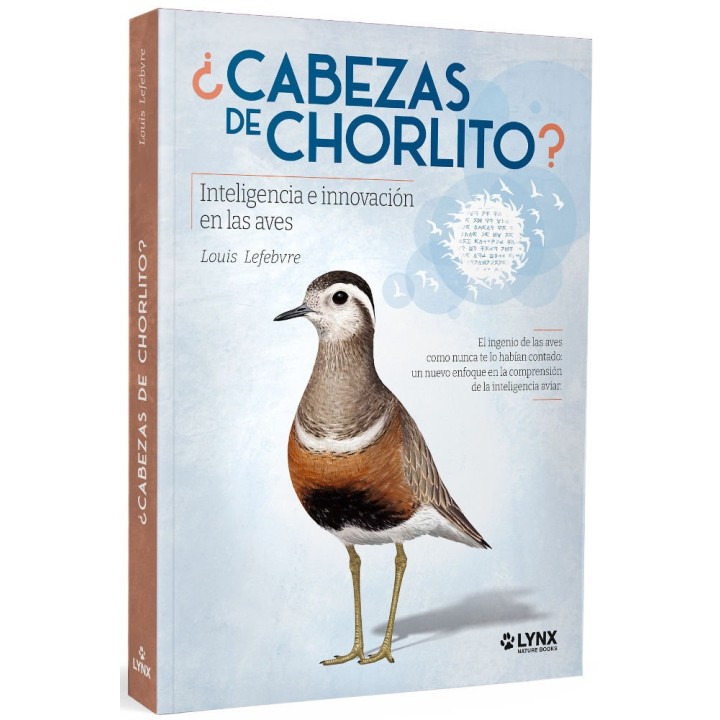 CABEZAS DE CHORLITO INTELIGENCIA E INNOVACION EN LAS AVES