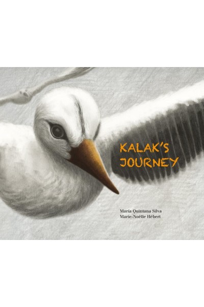 KALAKIS JOURNEY