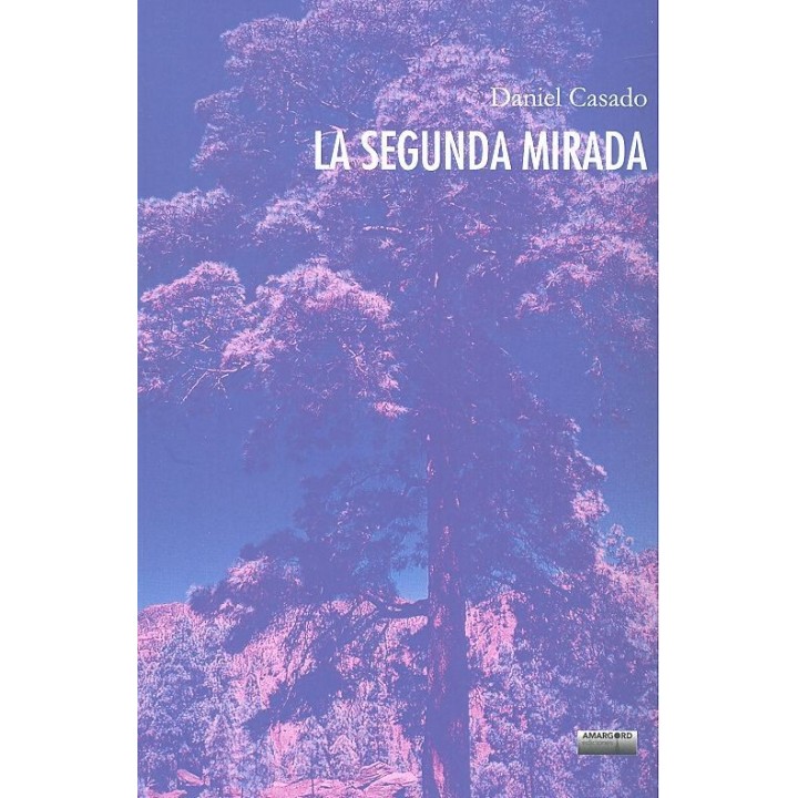 SEGUNDA MIRADA