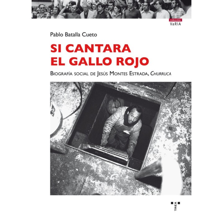 SI CANTARA EL GALLO ROJO