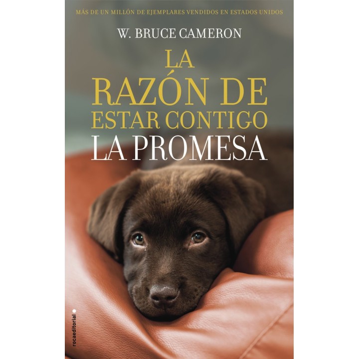 LA RAZON DE ESTAR CONTIGO. LA PROMESA