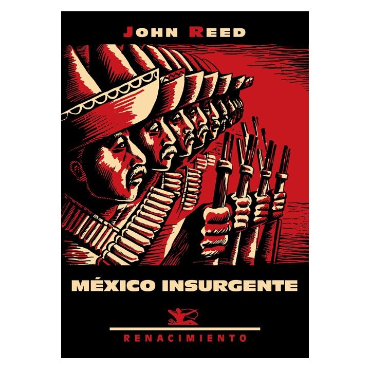 MEXICO INSURGENTE